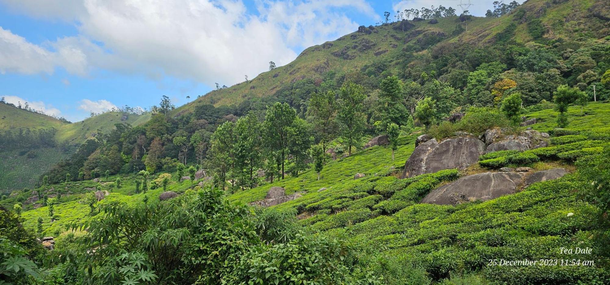 Tea Dale - All Rooms With Tea Estate View Муннар Екстер'єр фото