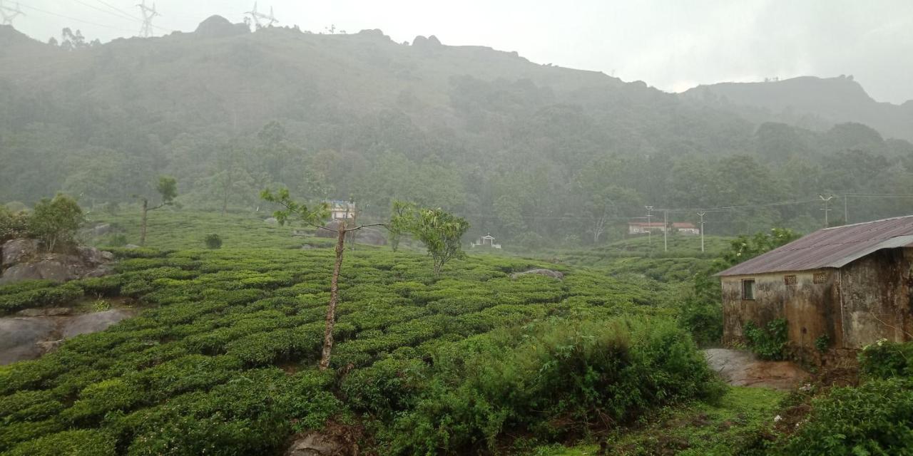 Tea Dale - All Rooms With Tea Estate View Муннар Екстер'єр фото